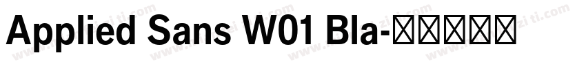 Applied Sans W01 Bla字体转换